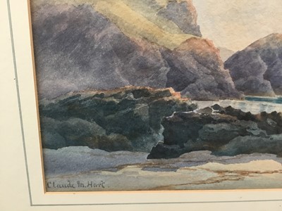Lot 73 - Claude Hart (19th century), waterclour - cormorants on the shore, signed, 24cm x 34cm, in glazed gilt frame