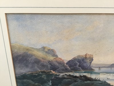 Lot 73 - Claude Hart (19th century), waterclour - cormorants on the shore, signed, 24cm x 34cm, in glazed gilt frame