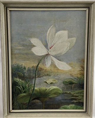 Lot 51 - English School 20th century oil on canvas - waterlily in landscape, signed indistinctly lower right, 30cm x 40cm, framed