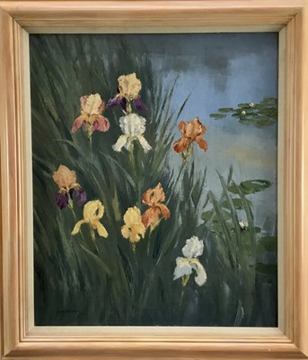 Lot 166 - A. V. Coverley-Price (1901-1948) oil on canvas - 'Irises', signed and dated 1948, 55cm x 65cm, framed