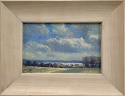 Lot 12 - James Hewitt (b. 1934) oil on canvas - early spring landscape, 'The Distant Blackwater', monogrammed, titled and dated verso 2004, 18cm x 12cm, framed (26cm x 20cm overall)
