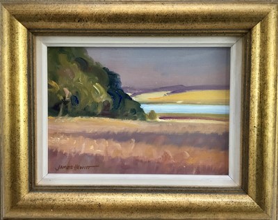 Lot 143 - James Hewitt (b. 1934) oil on card - ‘August Fields and River’, signed, 2005, framed