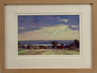Lot 141 - James Hewitt (b. 1934) oil on card - 'November Landscape', signed, titled verso, 28cm x 18cm, in glazed frame