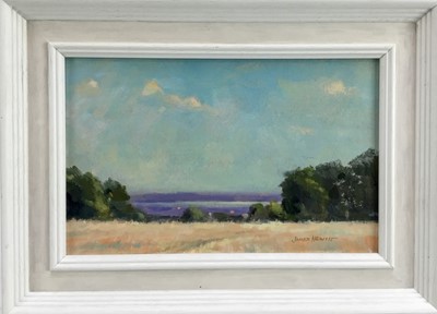 Lot 19 - James Hewitt (b. 1934) oil on card - 'Towards the River’, signed, framed