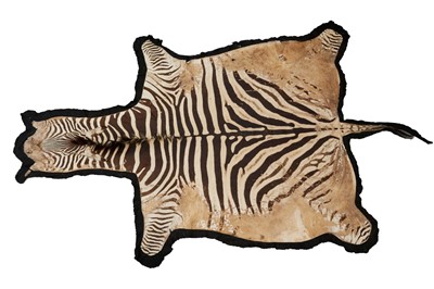Lot 1329 - Zebra skin rug.