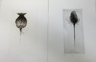 Lot 121 - Pair of contemporary English School signed limited edition etchings - Teasel and Poppy head, indistinctly signed, unframed
