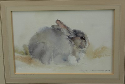 Lot 959 - Ian Armour-Chelu (1928-2000) watercolour - Grey and 
white rabbit, signed, in glazed frame