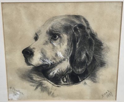 Lot 260 - A. Davidson, late 19th century charcoal drawing of a dog, signed and inscribed Xmas 1897, 25cm x 28cm, in glazed frame