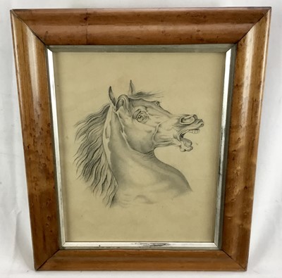 Lot 264 - Old Master type 19th century pencil drawing of a horses head, 24cm x 19cm, in maple veneered frame