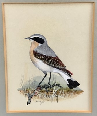 Lot 32 - Peter Hayman (b.1930) watercolour - wheat ear, signed