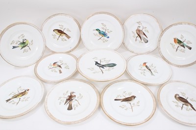 Lot 232 - Collection of 19th century ornithological painted dishes