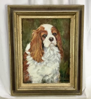 Lot 204 - Norman Coker, contemporary, oil on board, King Charles cavalier spaniel, signed, 39 x 29cm, framed