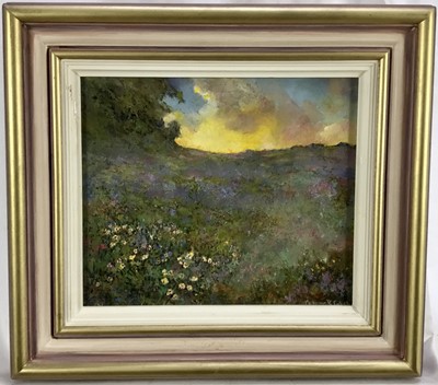 Lot 206 - Norman Coker, contemporary, oil on board, landscape, signed, 36 x 30cm, framed