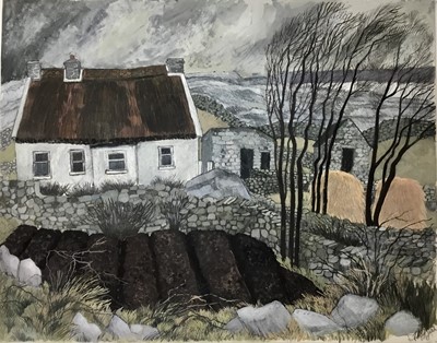 Lot 16 - *Dione Page (1936-2021) gouache and pastel on paper -‘The Potato Patch’, signed titled and dated ‘93, 75cm x 59.5cm, unframed