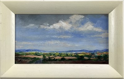 Lot 66 - David Slater (b.1943) oil on board - ‘Murcia, Spain’, 21.5cm x 11.5cm, monogrammed, framed