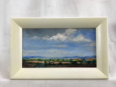 Lot 66 - David Slater (b.1943) oil on board - ‘Murcia, Spain’, 21.5cm x 11.5cm, monogrammed, framed
