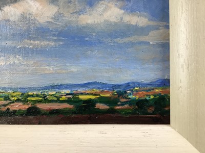 Lot 66 - David Slater (b.1943) oil on board - ‘Murcia, Spain’, 21.5cm x 11.5cm, monogrammed, framed