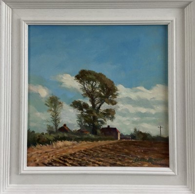 Lot 38 - James Hewitt (b. 1934) oil on canvas - ‘The Elm at Little Braxted’, signed, 29cm x 29cm, framed