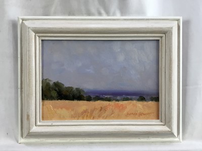Lot 49 - James Hewitt (b. 1934) two works, oil on board - ‘Early Summer Landscape Distant Blackwater’ and ‘Late July Cornfield’, signed and dated 2008, framed