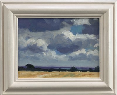 Lot 54 - James Hewitt (b. 1934) two works, oil on board - ‘August Sky over the Blackwater’, signed, 19cm x 14cm and ‘March Sky over the Blackwater’, signed, 34.5cm x 25cm both framed