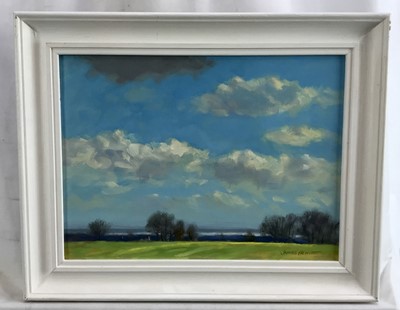 Lot 54 - James Hewitt (b. 1934) two works, oil on board - ‘August Sky over the Blackwater’, signed, 19cm x 14cm and ‘March Sky over the Blackwater’, signed, 34.5cm x 25cm both framed