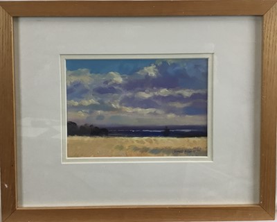 Lot 55 - James Hewitt (b. 1934) two works, oil on board - ‘The Blackwater in August’, signed, 20.5cm x 14.5cm and ‘Clouds over the Blackwater’, 22.5cm x 17.5cm both framed