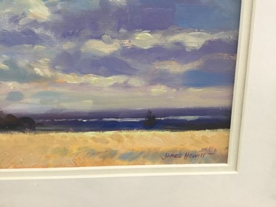 Lot 55 - James Hewitt (b. 1934) two works, oil on board - ‘The Blackwater in August’, signed, 20.5cm x 14.5cm and ‘Clouds over the Blackwater’, 22.5cm x 17.5cm both framed
