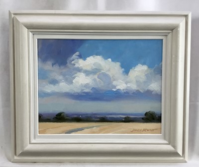 Lot 55 - James Hewitt (b. 1934) two works, oil on board - ‘The Blackwater in August’, signed, 20.5cm x 14.5cm and ‘Clouds over the Blackwater’, 22.5cm x 17.5cm both framed