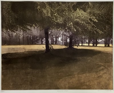 Lot 129 - Phil Greenwood (born 1943) etching/aquatint in colours 'Summer Light'