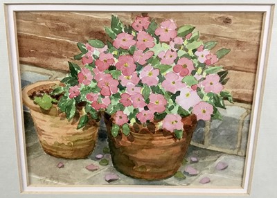 Lot 127 - English school watercolour - terracotta pots of Geraniums, monogrammed, framed