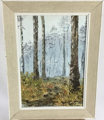 Lot 141 - Oil on board wooded landscape, 24cm x 34cm, framed 34cm x 44cm overall