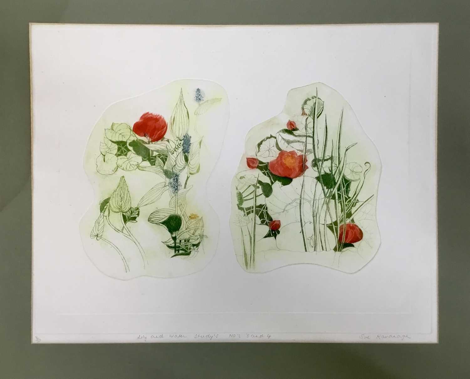 Lot 71 - Sue Kavanagh, contemporary, group of 6 signed limited edition coloured etchings - still life and landscape studies (6)
