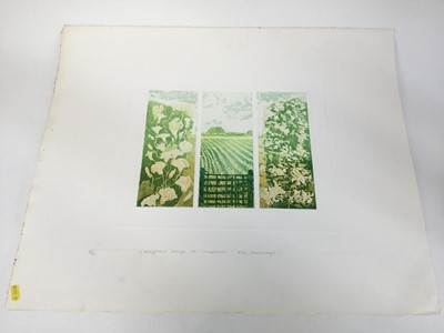 Lot 71 - Sue Kavanagh, contemporary, group of 6 signed limited edition coloured etchings - still life and landscape studies (6)