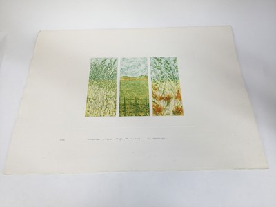 Lot 71 - Sue Kavanagh, contemporary, group of 6 signed limited edition coloured etchings - still life and landscape studies (6)