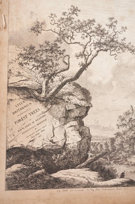 Lot 1036 - Book: 'Sylva Britannica' or 'Portraits of Forest Trees' Jacob George Strutt 'fecit et excudit' 34 Percy Street Bedford Square London 1826.  Lacking covers.  Folio 17" x 13".  Dedication to John Duk...