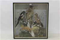 Lot 794 - Victorian glazed case containing a Long-Eared...