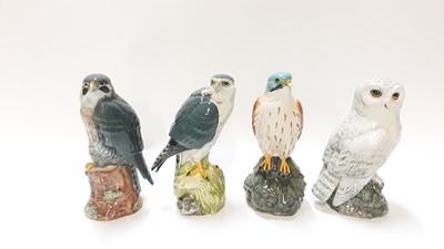 Lot 1302 - Four Royal Doulton Whyte & Mackay whisky decanters - Peregrine Falcon, Merlin, Kestrel and Snowy Owl (Falcon has contents)
