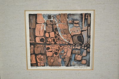 Lot 1190 - John Wolseley (Australian b.1938) two signed etchings and aquatints