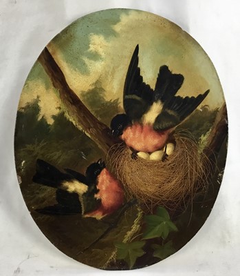 Lot 57 - Michaelangelo Meucci (1840-1890) oval oil on panel - Bullfinches, 21.5cm x 26.5cm, signed, gallery label verso, unframed