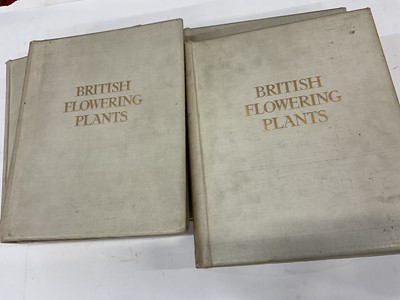Lot 1742 - George Boulger & Mrs Henry Perrin - British Flowering Plants, in four vols, published Bernard Quaritch, London 1914, numbered 781 from an edition of 1000