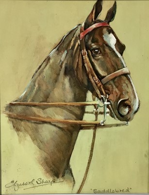 Lot 105 - Elizabeth Sharp, oil on board - study of ‘Saddlebred’ a chestnut  
hunter, signed and inscribed, 24cm x 19cm
