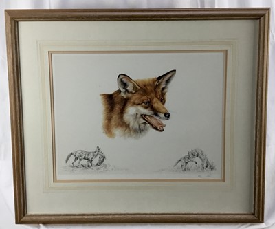 Lot 467 - A. Seward, signed limited edition print - Foxes, 63/300, in glazed frame