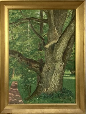 Lot 91 - Bengt Hedberg (Swedish, 1868-1953) oil - forest, signed and dated 1924