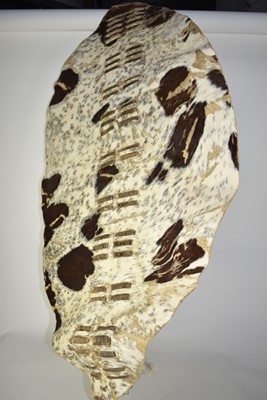 Lot 927 - Two old Zulu stabbing spears, old knob Kerry club and African hide covered shield (4)