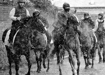 Lot 7 - Jayne Odell black and white photographic print, 'Braving the elements', 60cm x 43cm