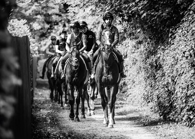 Lot 12 - Jayne Odell black and white photographic print, 'Summer return', 60cm x 43cm