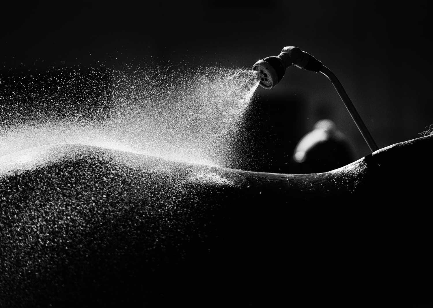 Lot 37 - Jayne Odell black and white photographic print, 'Sprinkler', 80cm x 57cm