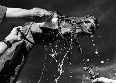 Lot 38 - Jayne Odell black and white photographic print, 'Warm days', 80cm x 57cm