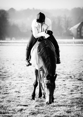 Lot 58 - Jayne Odell black and white photographic print, 'Picking grass', 114cm x 160cm