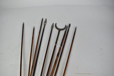 Lot 953 - Rare collection of nine 18th/19th century Indian arrows with fine quality specialist killing tips including bird killing, armour piercing , game killing etc ,some of the shafts beautifully painted...